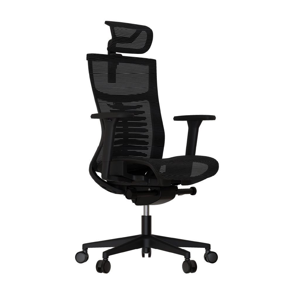 Cadeira Ergonômica Elements Vertta Special